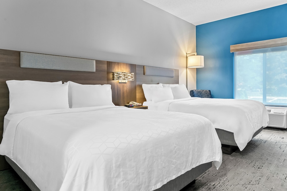holiday inn express and suites detroit north rosev