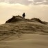 paal 8 hotel aan zee