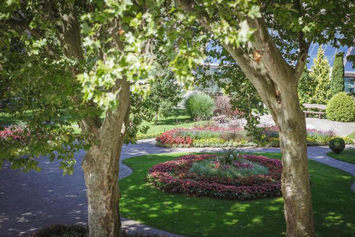 sunrose 7 gourmet and spa hotel 16