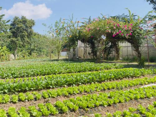 the namkhan a small luxury hotel of the world