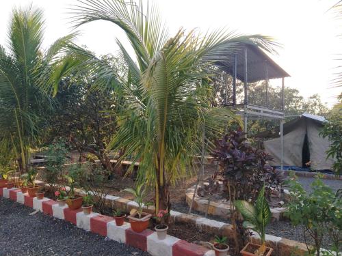 madhav farmhouse