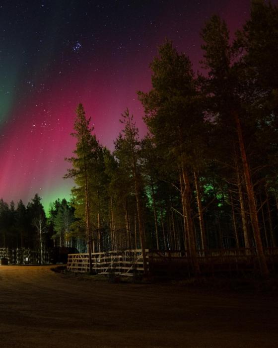 arctic snowhotel and glass igloos