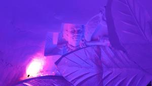 arctic snowhotel and glass igloos