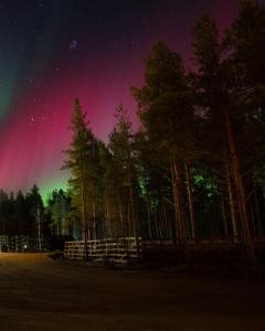 arctic snowhotel and glass igloos