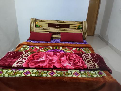 wonderland guest house