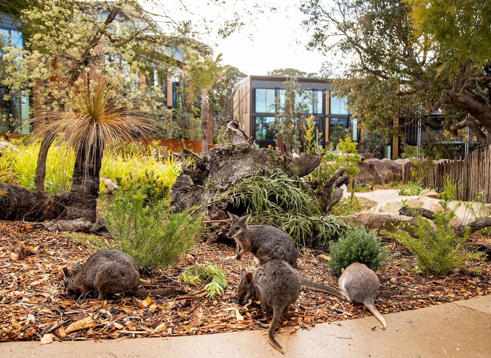 wildlife retreat at taronga