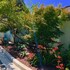 seafoam lodge