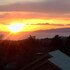 bandb guest house rin no yado