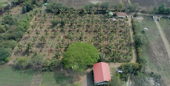 green living villa