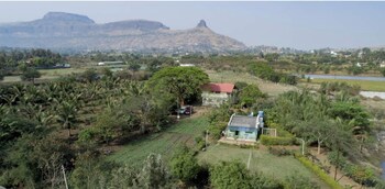 green living villa