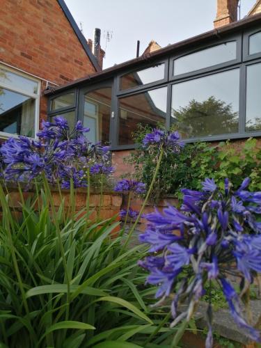 feather bed cottage bandb