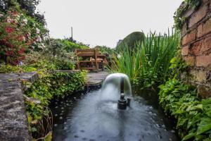 feather bed cottage bandb