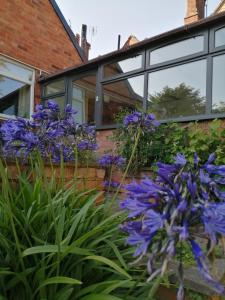 feather bed cottage bandb