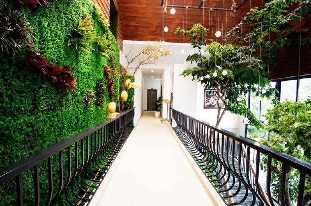 green oasis hotel