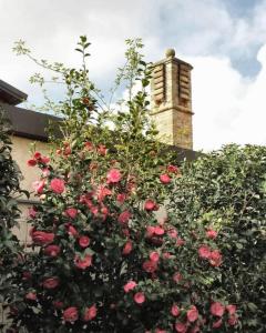 portogruaro