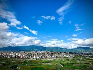 29 eleven bed and breakfast