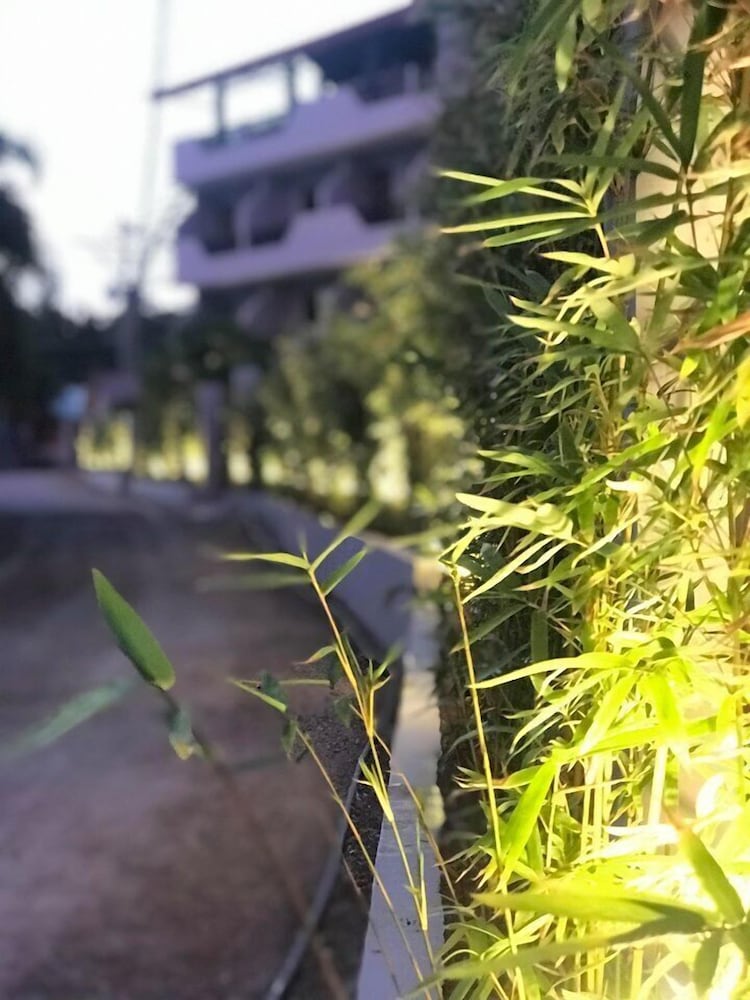 mayfair resort