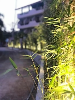mayfair resort