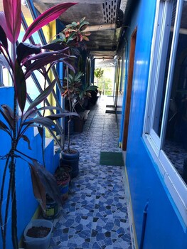 ravara natividad pension house