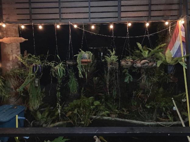 lan saka