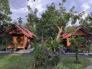 lan saka