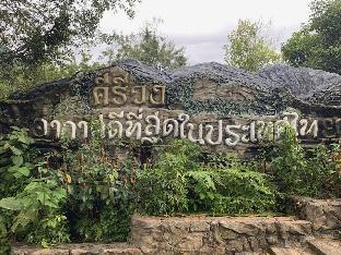 lan saka