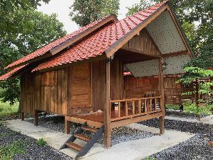 lan saka