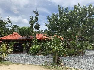 lan saka