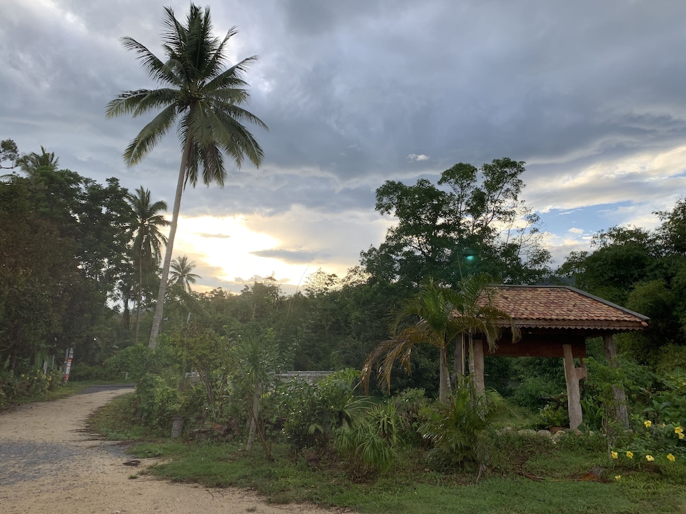 lan saka