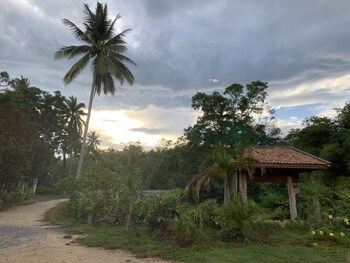 lan saka