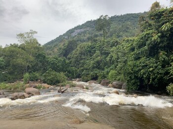 lan saka
