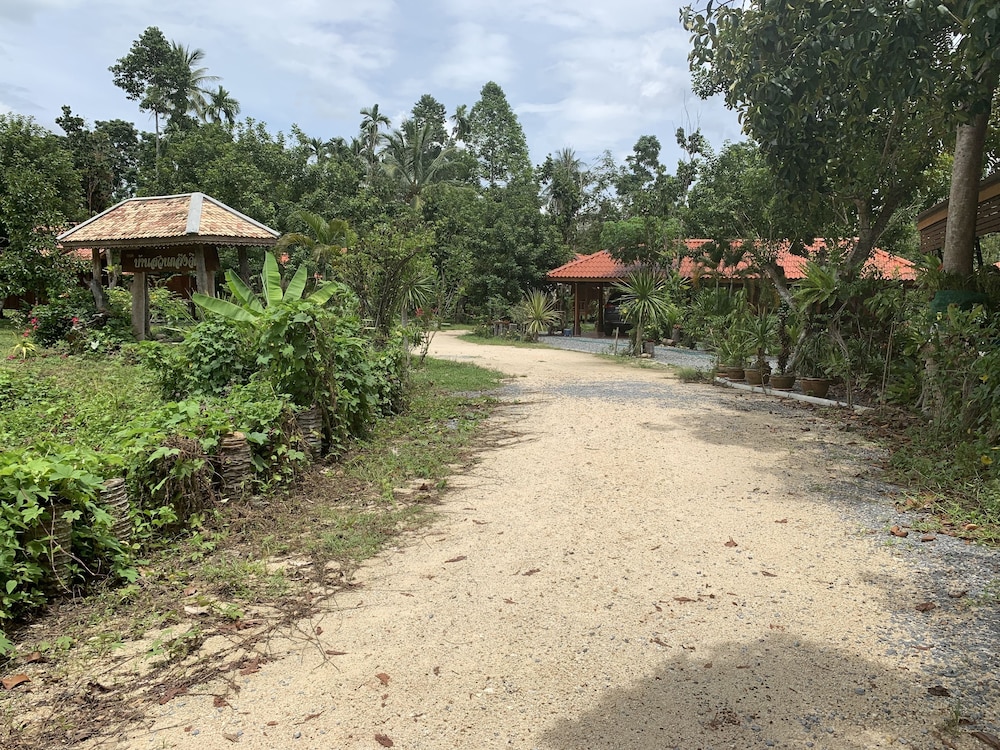 lan saka