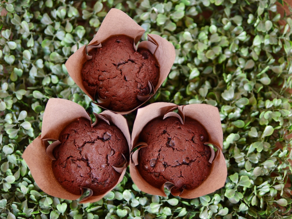 ray coffee bar and hostel adults only