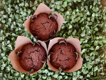 ray coffee bar and hostel adults only