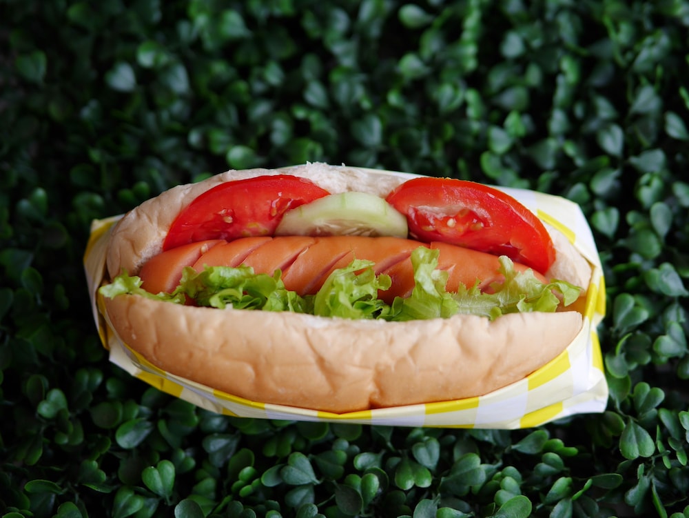 ray coffee bar and hostel adults only