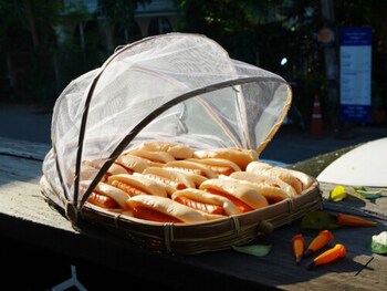 ray coffee bar and hostel adults only