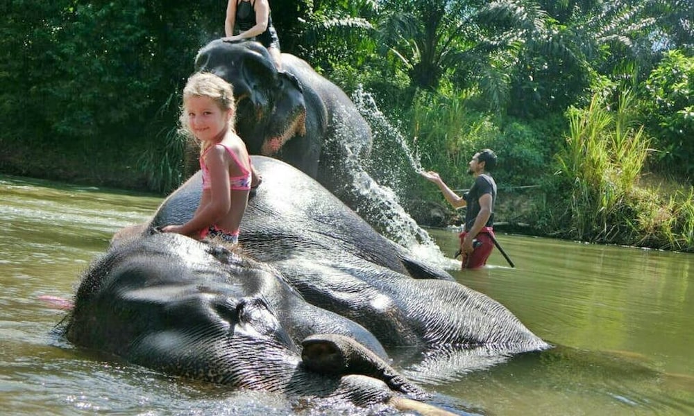 khaosok boutique hideaway