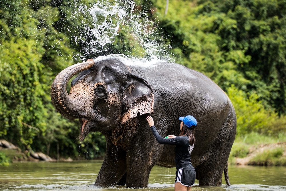 khaosok boutique hideaway