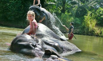 khaosok boutique hideaway