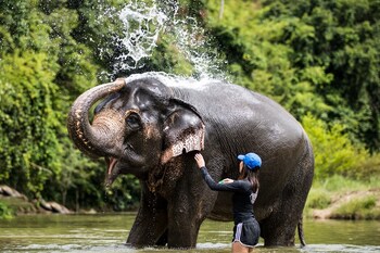 khaosok boutique hideaway