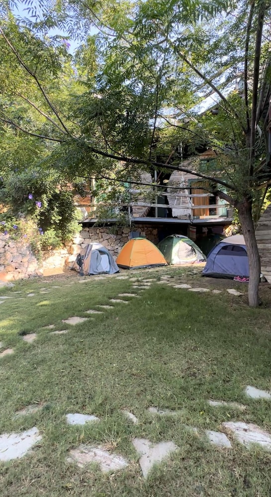 mandala camping adults only