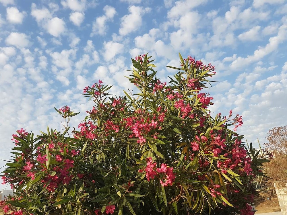 the stone house naxos