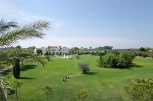 amaregold tenuta la baronessa