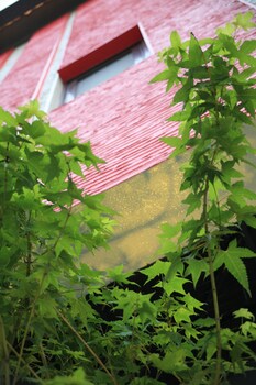 moon inn boutique motel