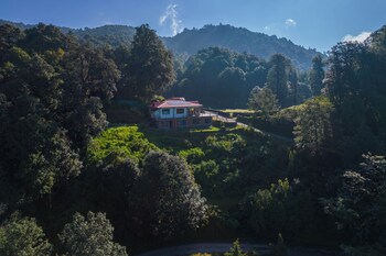 simba jungle lodge binsar wildlife sanctuary
