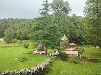 simba jungle lodge binsar wildlife sanctuary