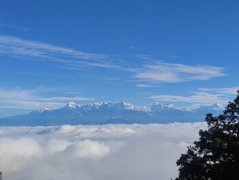 simba jungle lodge binsar wildlife sanctuary