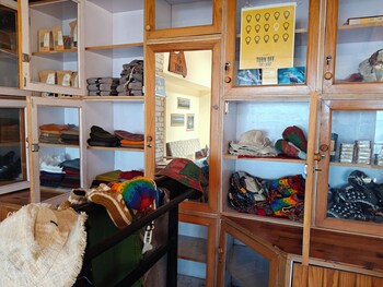 simba jungle lodge binsar wildlife sanctuary