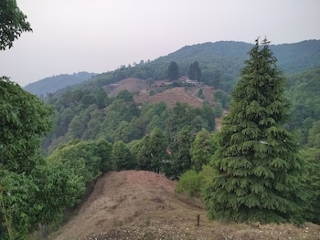 simba jungle lodge binsar wildlife sanctuary