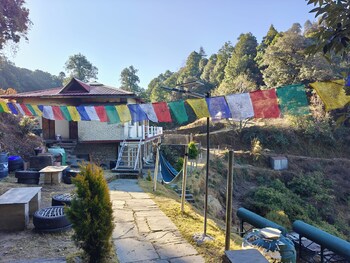 simba jungle lodge binsar wildlife sanctuary